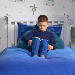 OHS Rex The Dinosaur Cuddle Cushion - Blue - thumbnail 3