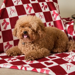 OHS Pet Bow & Heart Harlequin Print Sherpa Reverse Throw - Red/White - thumbnail 2