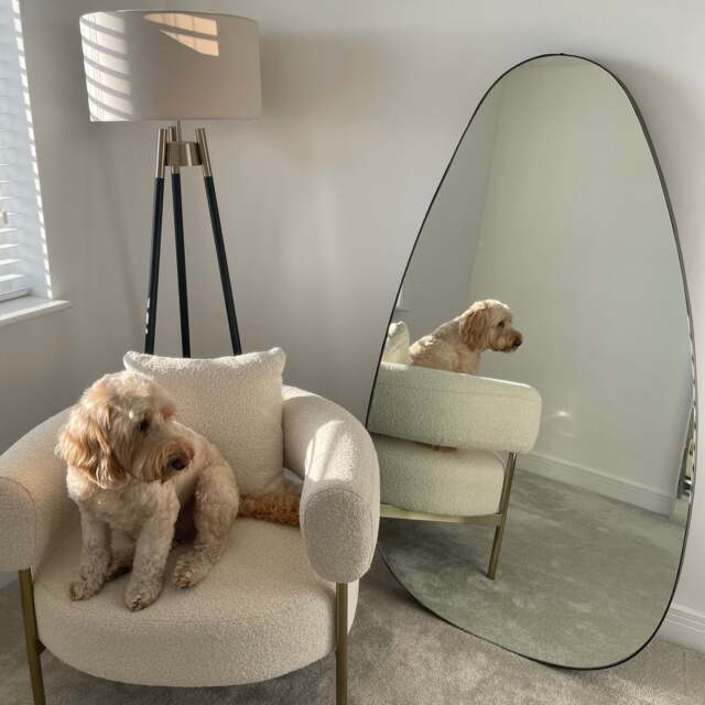 Organic Abstract Egg Rustic Finish Full Length Leaner Mirror - Extra Large