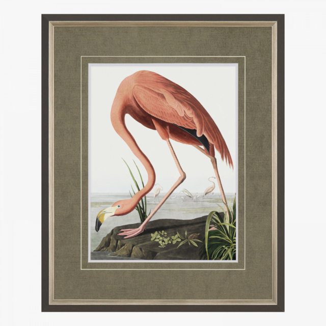 Classic Flamingo Framed Art, Small