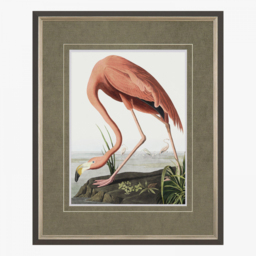 Classic Flamingo Framed Art, Small