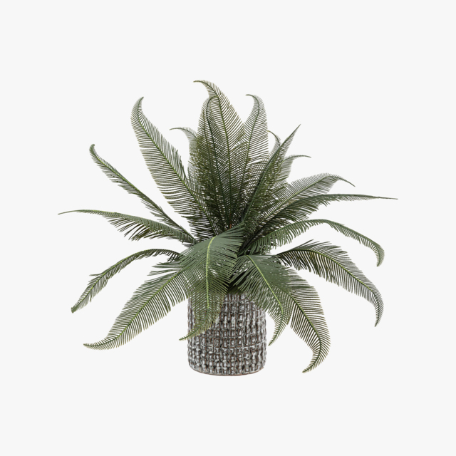 Faux Potted Wide Fern