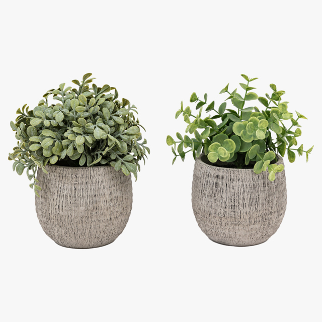 Faux Sage Potted Plant, Set of 2