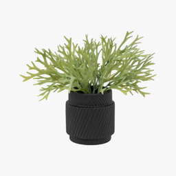 Faux Sage Green Playycerium Plant in Ceramic Pot