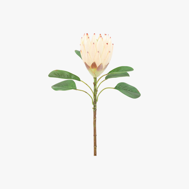 Faux Ivory Tropical Stem, Set of 12
