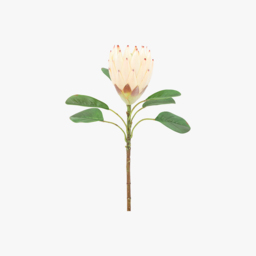 Faux Ivory Tropical Stem, Set of 12