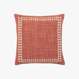 Naya Embroidered Border Cushion in Apricot