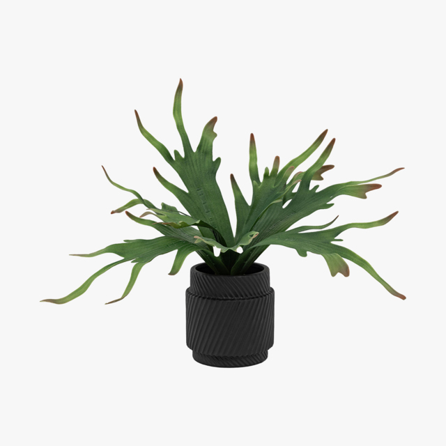 Faux Playycerium Plant in Ceramic Pot