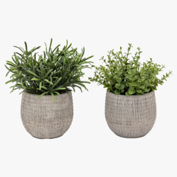 Faux Rosemary Potted Plant, Set of 2