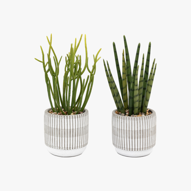 Potted Faux Succulents, Set of 2