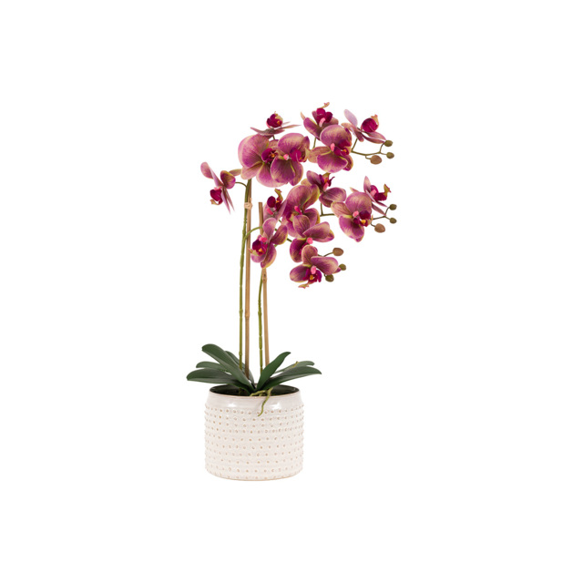 Faux Pink Orchid in Ceramic White Dotted Pot