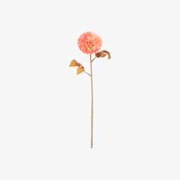 Faux Apricot Dahlia Stem, Set of 6