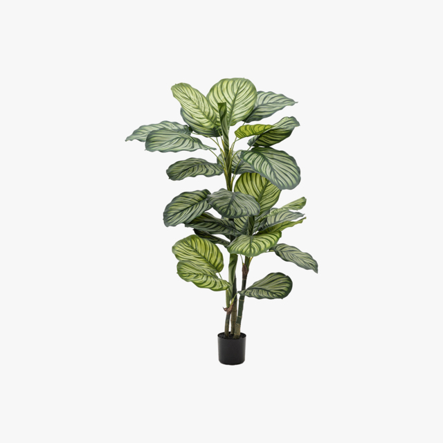 Faux Calathea Leaf Tree, Large