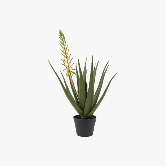 Faux White Flower Aloe Plant