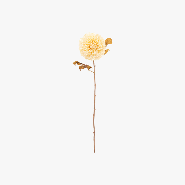 Faux Ivory Dahlia Stem, Set of 6
