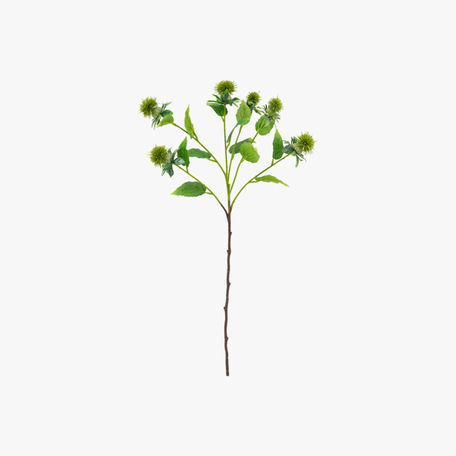Faux Green Thistle Stem, Set of 12