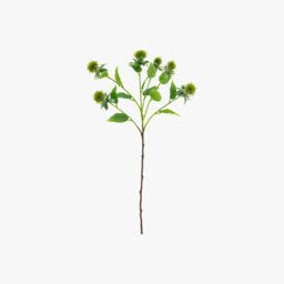 Faux Green Thistle Stem, Set of 12