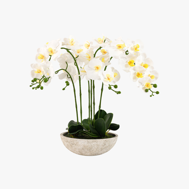 Faux Oversized Orchid in White Cement Pot