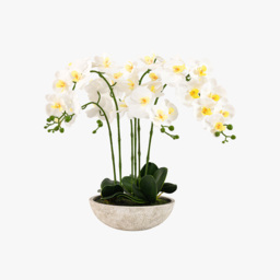Faux Oversized Orchid in White Cement Pot