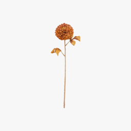 Faux Burnt Orange Dahlia Stem, Set of 6