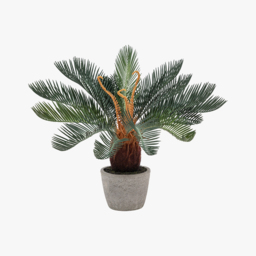 Faux Potted Wide Palm