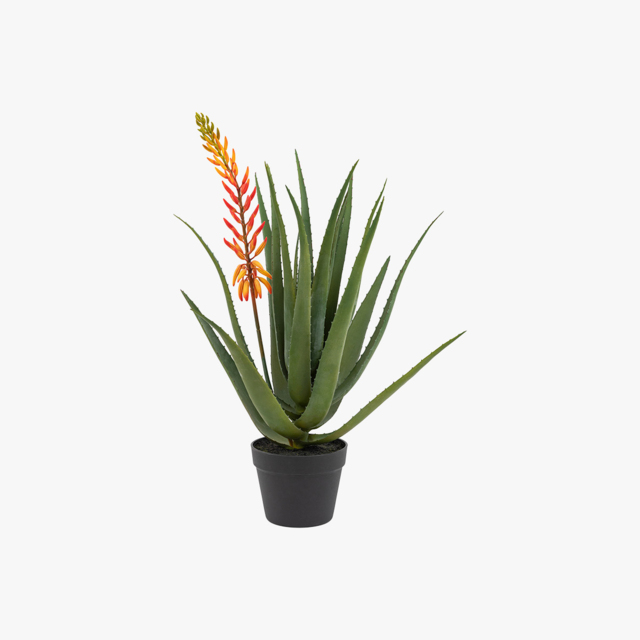 Faux Orange Flower Aloe Plant