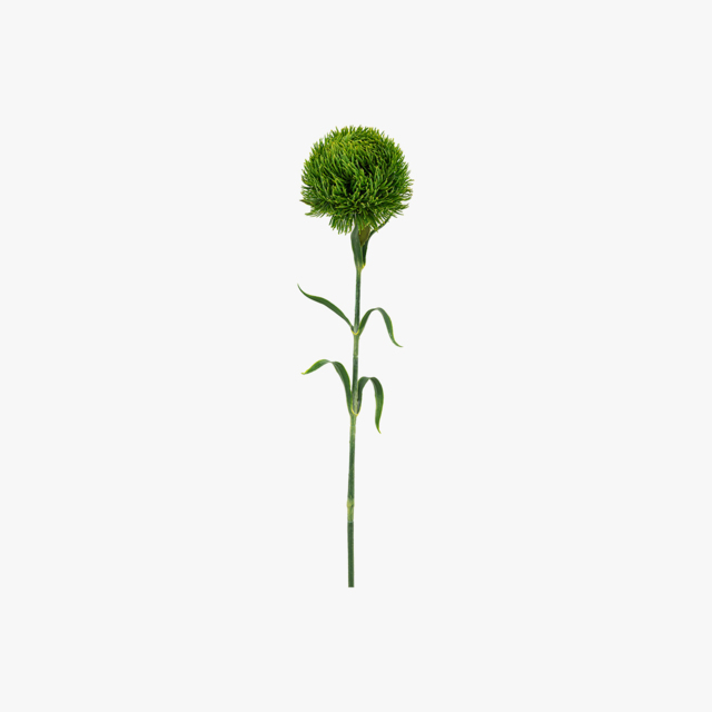 Faux Green Bloom Stem, Set of 12