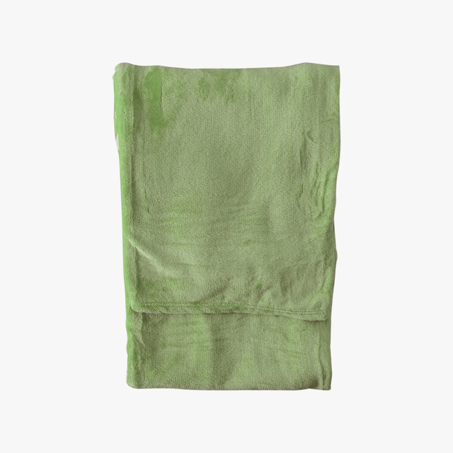 Livie Flannel Fleece Throw, Pale Green
