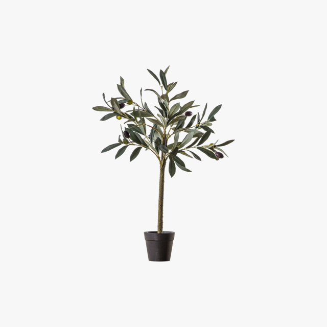 Small Faux Olive Tree
