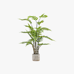 Solana Faux Fern in Stone Grey Pot, Large