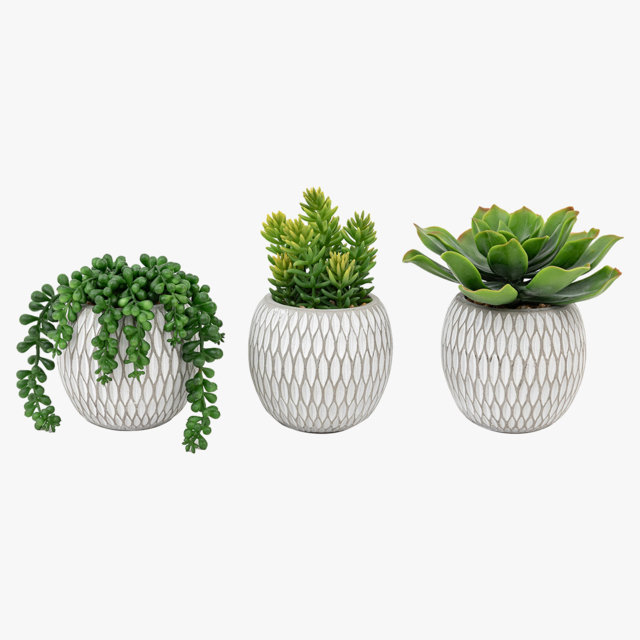 Potted Faux Succulents, Set of 3