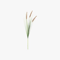 Faux Natural Grass with Seed Heads Stem, Set of 12