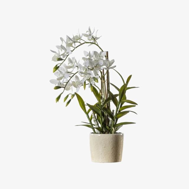 Faux Orchid Cycnoches in Pot