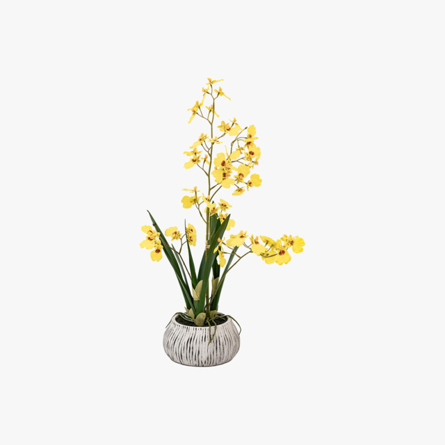Faux Yellow Orchid in Low Pot