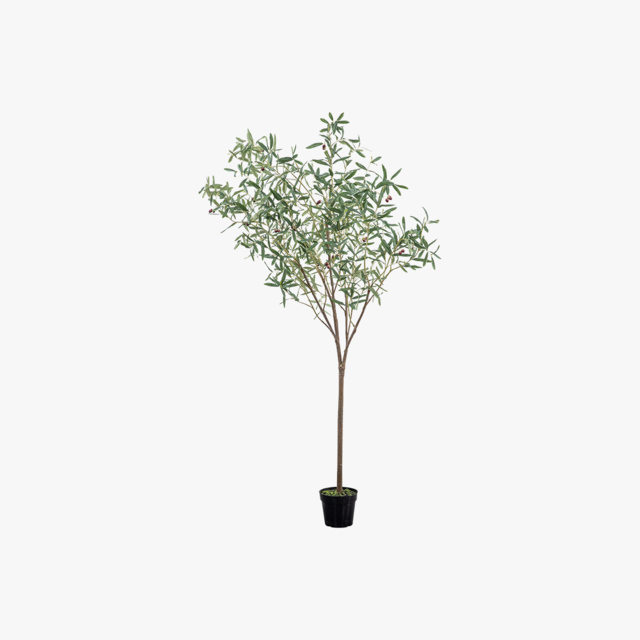 Solana Faux Olive Tree, Large