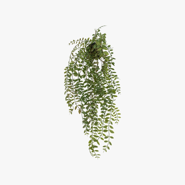 Jamir Faux Trailing Fern in Dark Soil