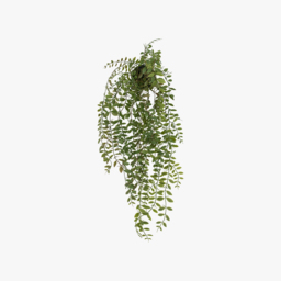 Jamir Faux Trailing Fern in Dark Soil