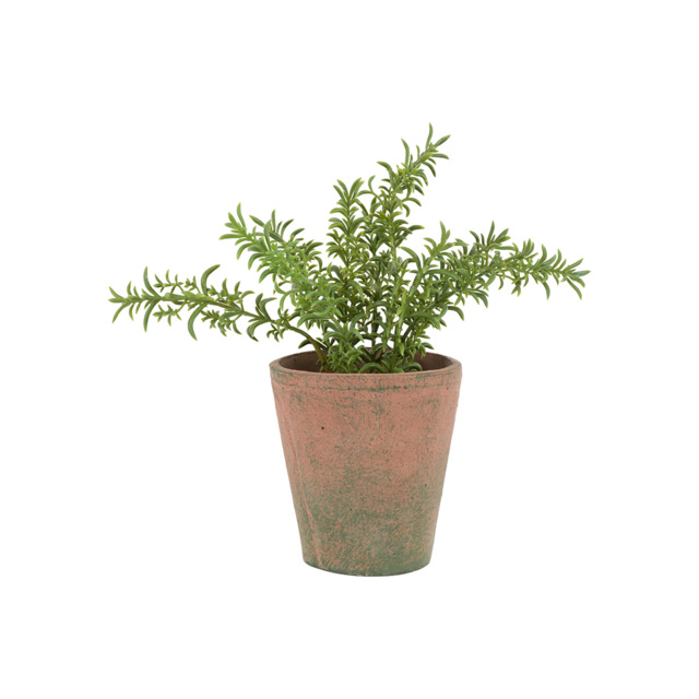 Faux Rosemary in Terracotta Pot