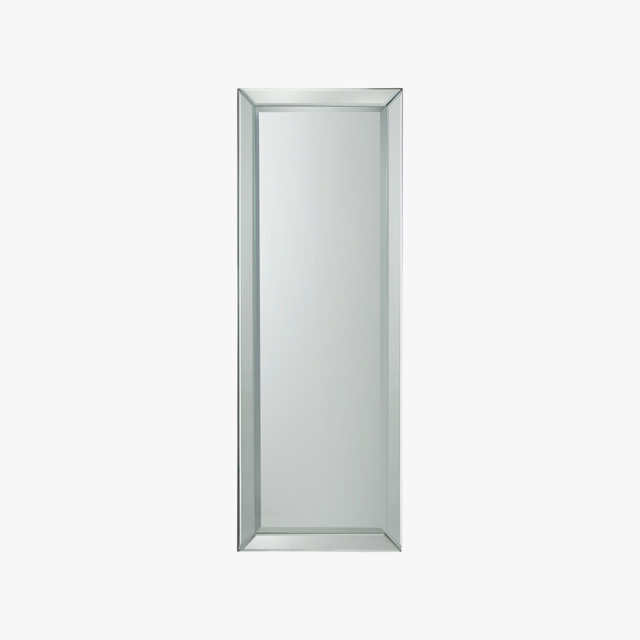 Skylar Full Length Wall Mirror in Silver