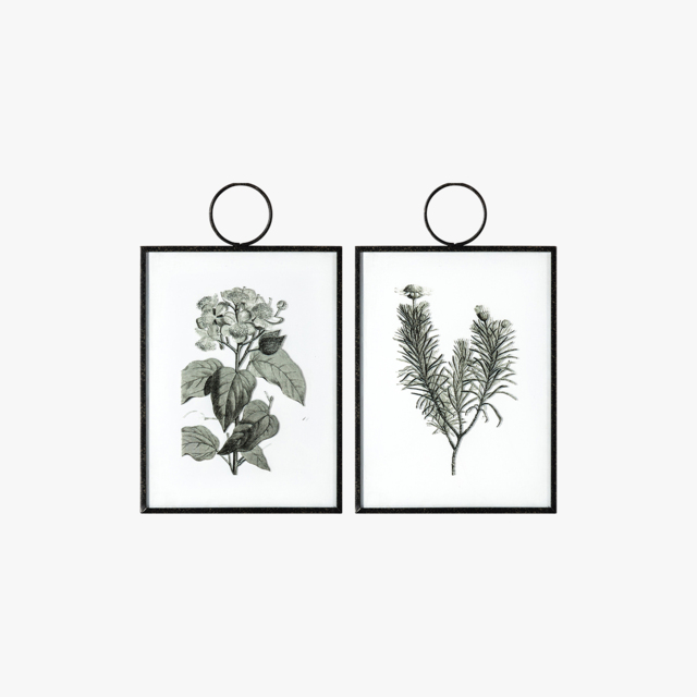 Leonardslee Botanical Study I, Set of Two