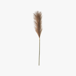 Lazni Brown Pampas Feather Stem, Set of Five
