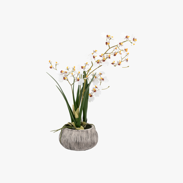 Faux White Orchid in Low Pot