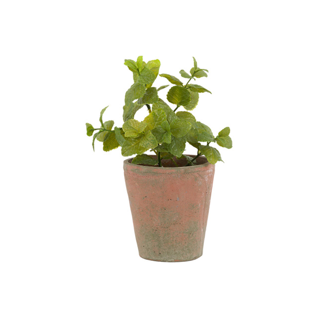 Faux Mint Plant in Terracotta Pot