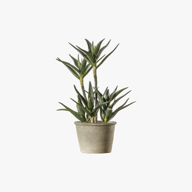 Faux Potted Aloe