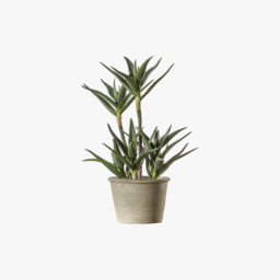 Faux Potted Aloe