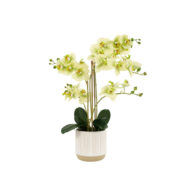 Faux Green Orchid in Ceramic White Ribbed Pot