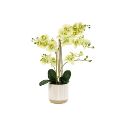 Faux Green Orchid in Ceramic White Ribbed Pot