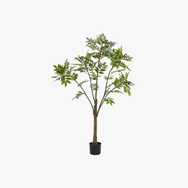 Faux Chinese White Olive Tree, Large