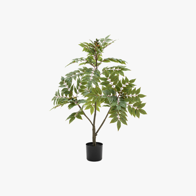 Faux Chinese White Olive Tree, Medium