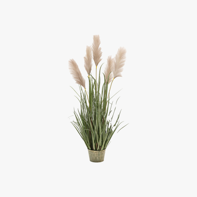 Faux Grass Plant with Pampas Seed Heads, Medium